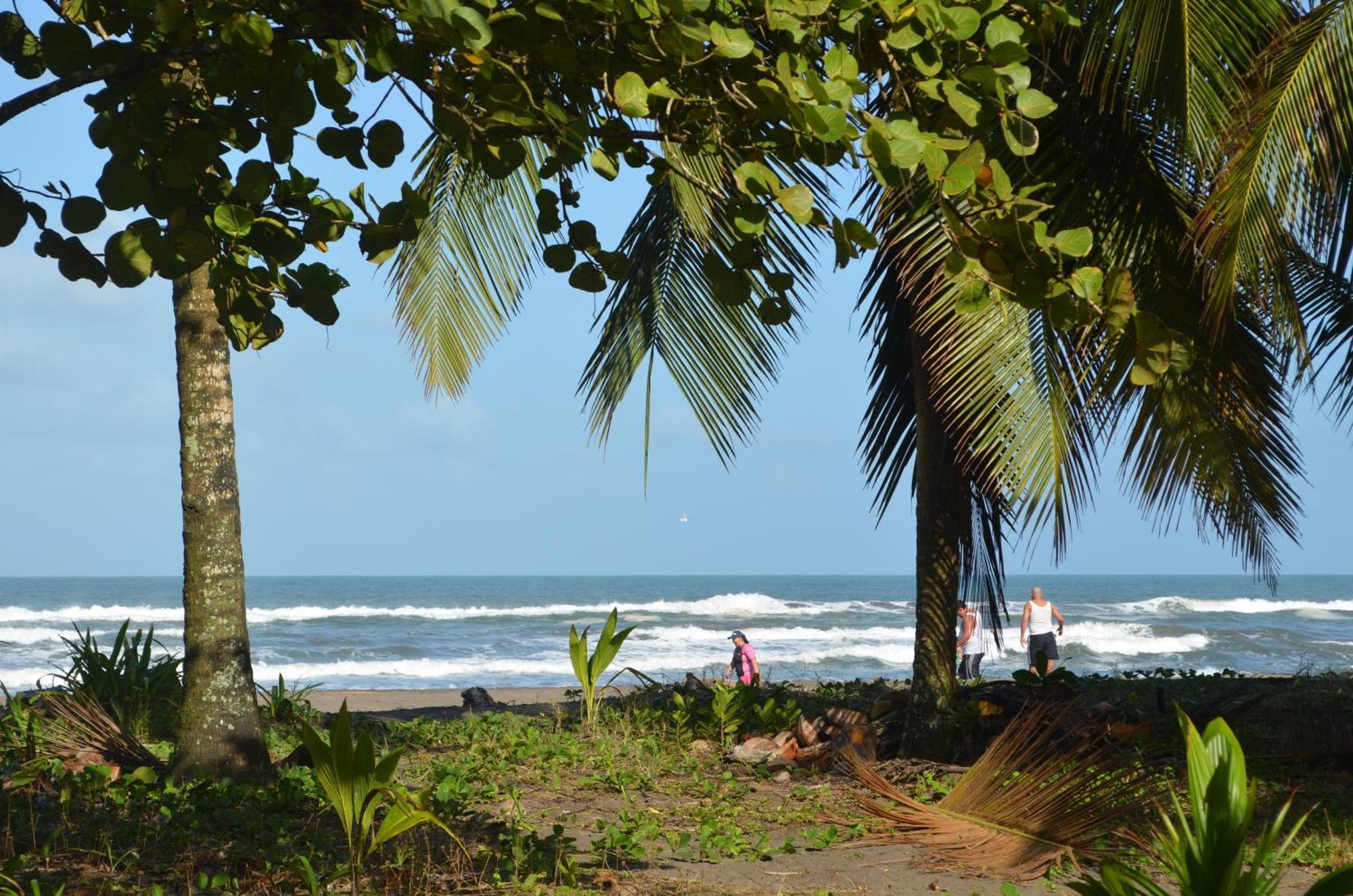 Hotel Pura Natura Beachfront Тортугеро Екстериор снимка
